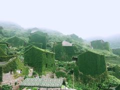 -枸杞岛