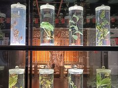 -广东中医药博物馆