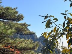 -三清山风景名胜区