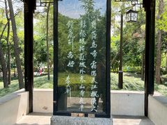 -枫桥景区