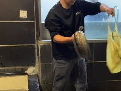 -百岁鱼(人民路店)