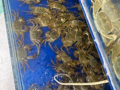 -阳澄湖大闸蟹·琼灵阁牌品牌连锁(吴中总店)