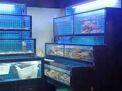 水产区-吉友粥底火锅(方斜路店)