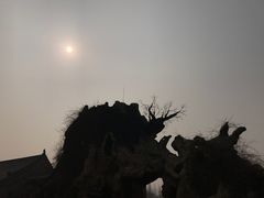 -大槐树寻根祭祖园