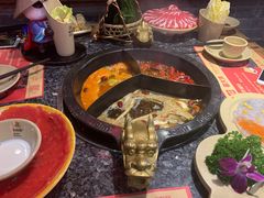 -蜀大侠火锅(森兰花园城店)