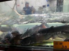 -融泽漁悦三只耳鱼火锅(南郑大道店)