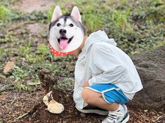 -南京市无想山景区