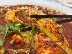 -胖大姐黄辣丁鱼庄(新津店)