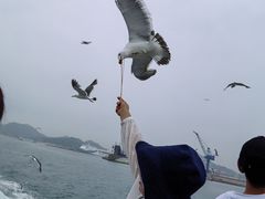 -海驴岛(荣成市)