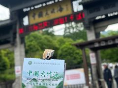 -中国大竹海景区