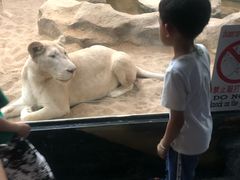 -清迈夜间动物园