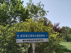 -上海滨江森林公园