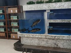 -香山湖渔家大院