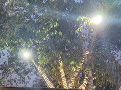 -庭院土灶柴火鸡(犀浦店)