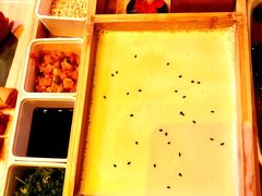 -胡桃里音乐酒馆(环亚凯瑟琳广场店)