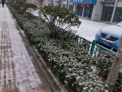 -山东农业大学(岱宗校区)