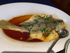 -维园悦谱·海派家常菜(乌鲁木齐南路店)