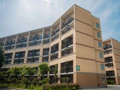 -中加枫华国际学校