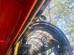 -合肥滨湖国家森林公园