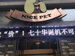 -奈斯宠物医院·核磁CT·异宠专科·内镜(中南店)