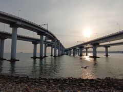 -星海湾跨海大桥