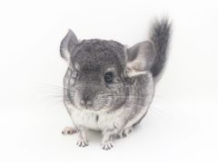 -龙猫仔乐园(惠福东路店)