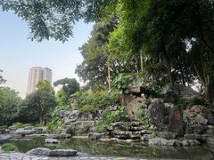 -柳侯公园