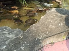 -广州长隆飞鸟乐园