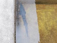 -源泉冷水鱼庄(小鱼洞店)