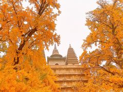 -北京石刻艺术博物馆(五塔寺)