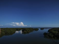 -北海金海湾红树林生态旅游区