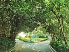 -南京东郊国宾馆
