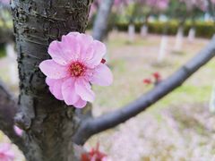 -白塘生态植物园
