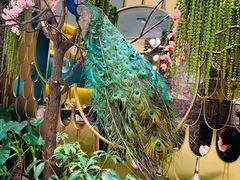 -雀蓝川菜(奥体广场店)