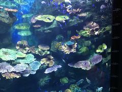 -暹罗海洋世界