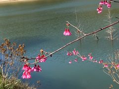 -世间香境·七溪地