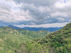 -大岭沟猕猴桃谷风景区