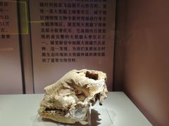 -咸宁市博物馆