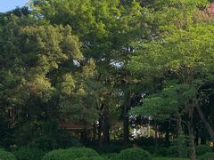 -人民公园(罗湖区)