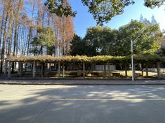 -同济大学(沪西校区)