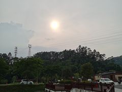 -黄埔油麻山森林公园