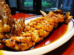 老醋松鼠鱼-醉长安(南门总店)