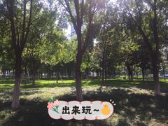 -西北湖绿化广场