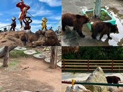 -西霞口神雕山野生动物世界