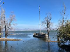 -洱海月湿地公园