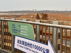 -盐城丹顶鹤湿地生态旅游区