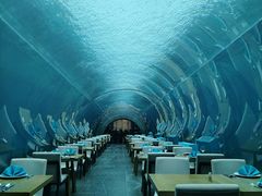 -海棠湾洲际-涛·海底餐厅·美人鱼·自助餐·海底隧道