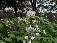 -元大都城垣遗址公园