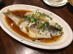 -盐官日光域房车营地·有盐餐厅