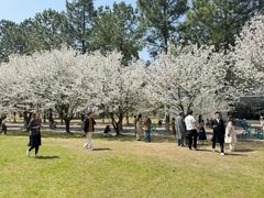 -同济大学(嘉定校区)